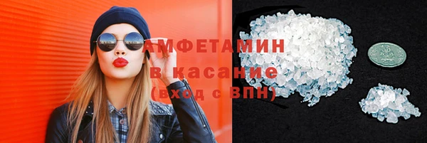гашик Гусев