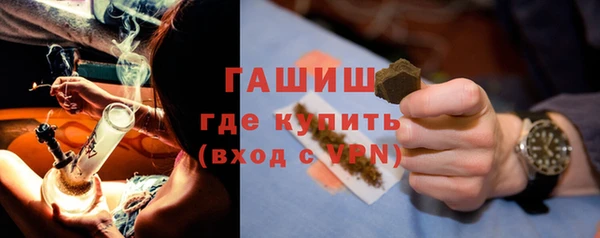 гашик Гусев