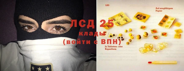 гашик Гусев