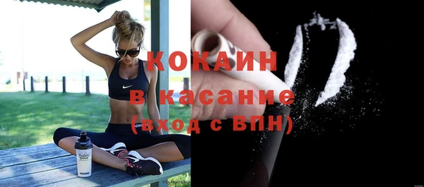 гашик Гусев
