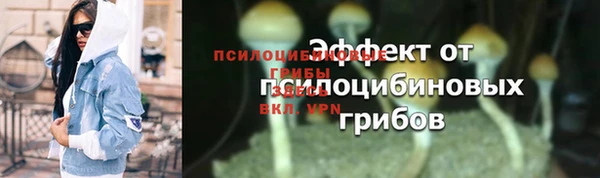 гашик Гусев