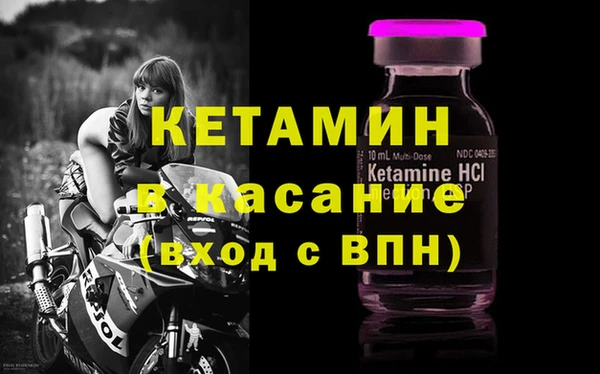 гашик Гусев
